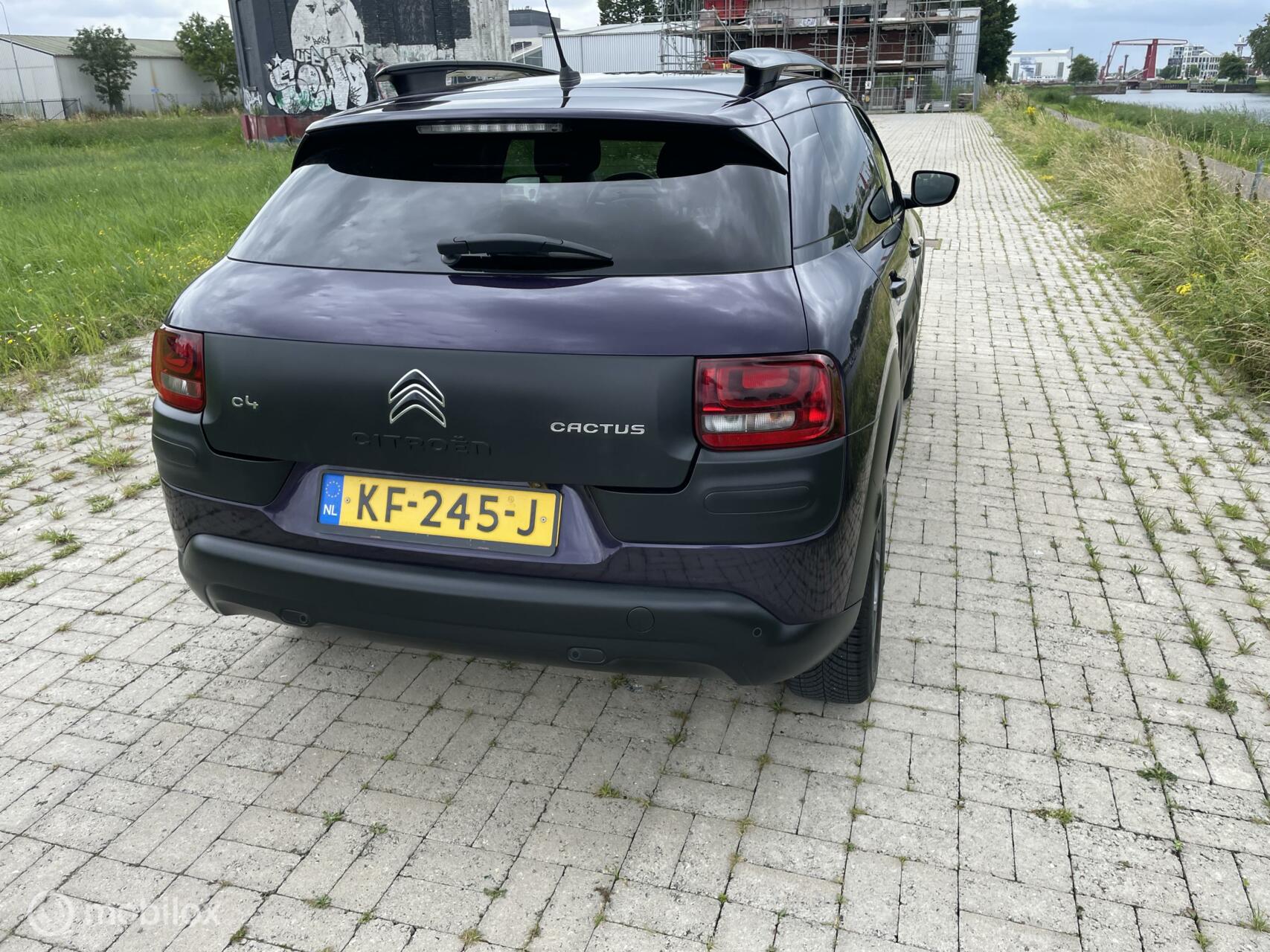 Foto van Citroen C4 Cactus