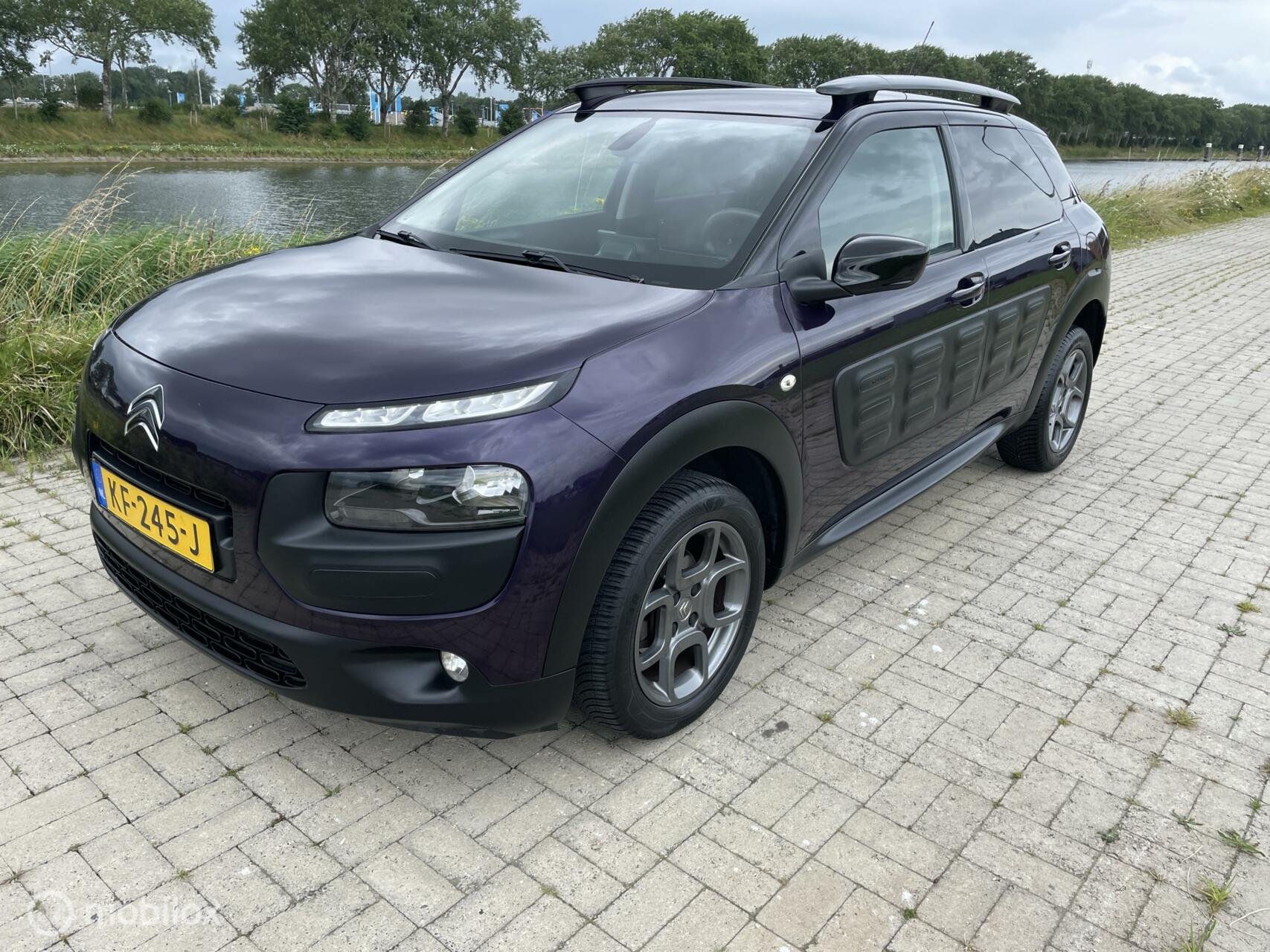 Foto van Citroen C4 Cactus