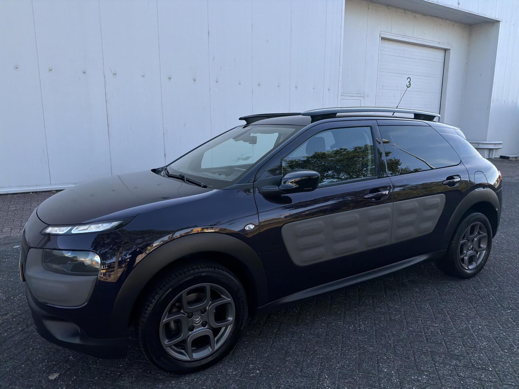 Foto van Citroen C4 Cactus