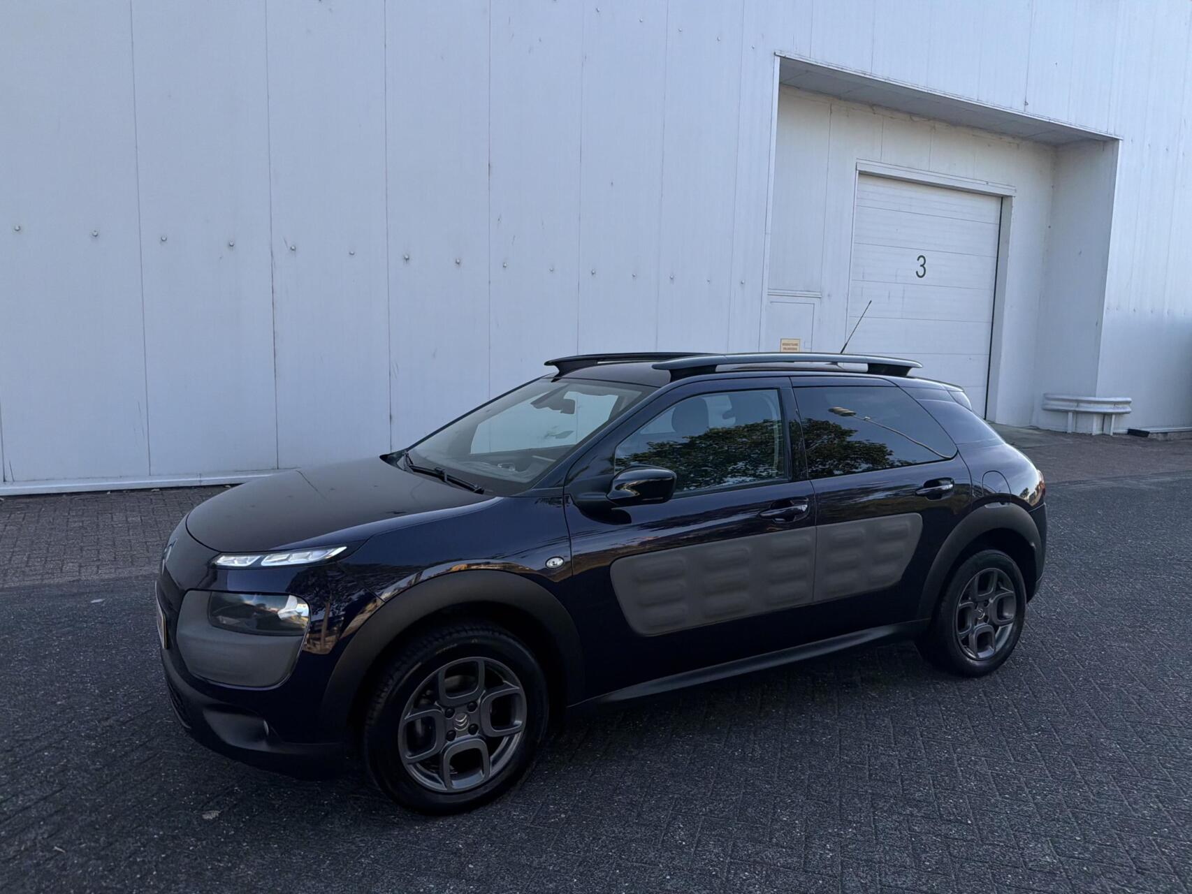 Foto van Citroen C4 Cactus
