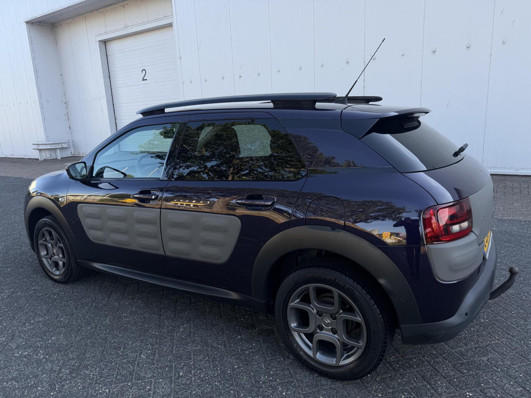 Foto van Citroen C4 Cactus