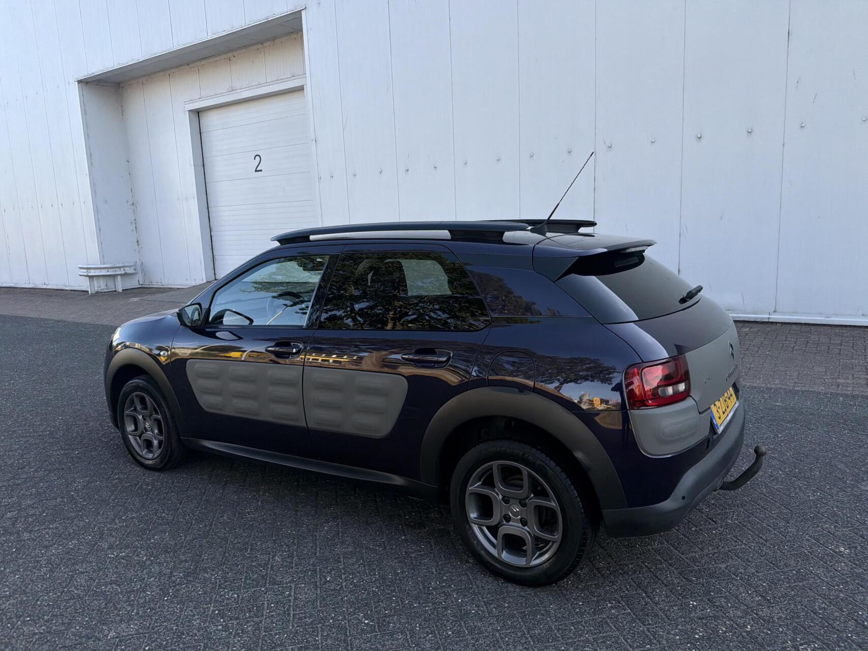 Foto van Citroen C4 Cactus