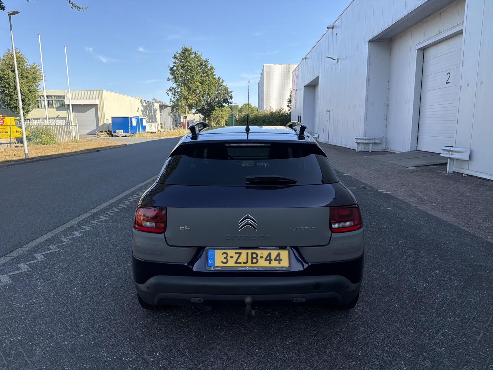 Foto van Citroen C4 Cactus