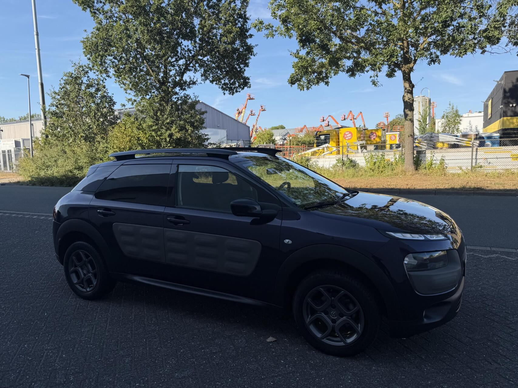 Foto van Citroen C4 Cactus