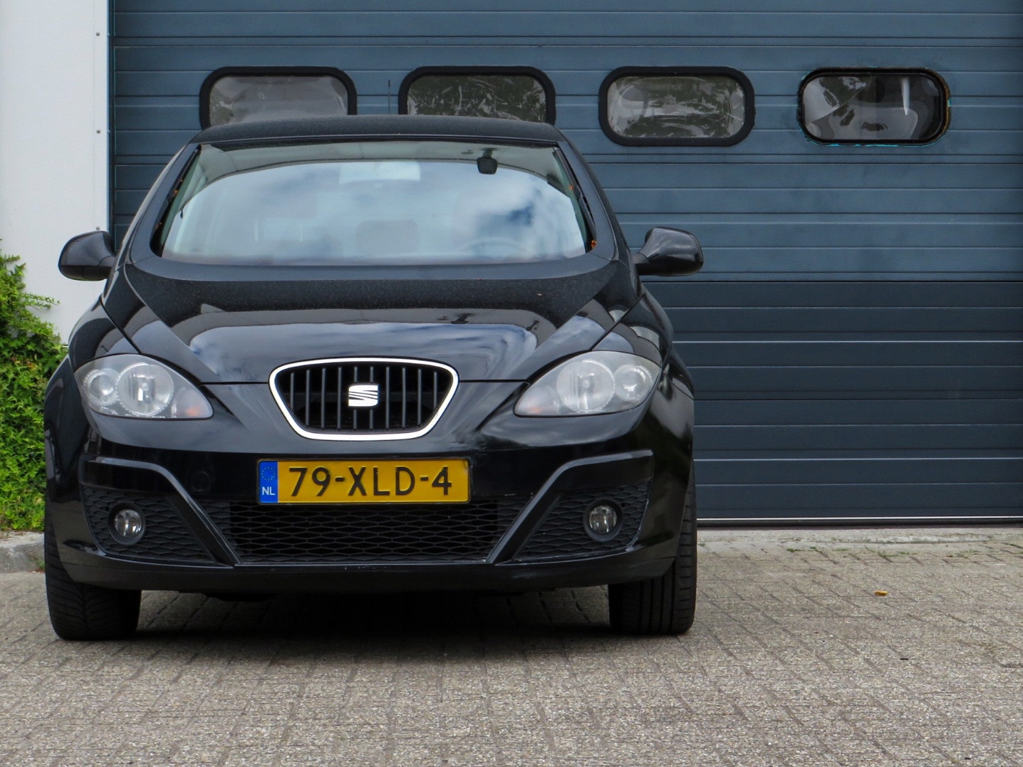 Foto van Seat Altea