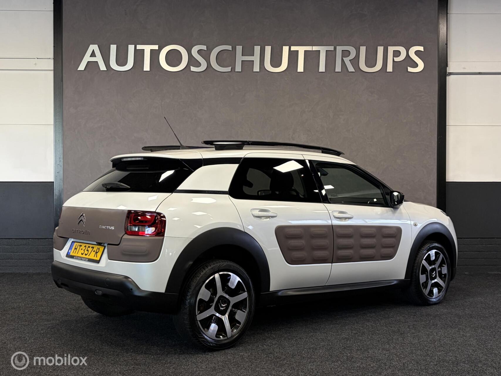 Foto van Citroen C4 Cactus