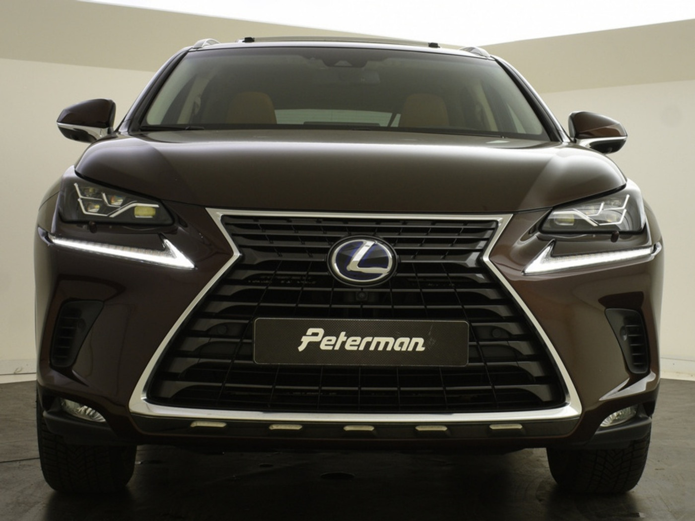 Foto van Lexus Lexus Nx300h
