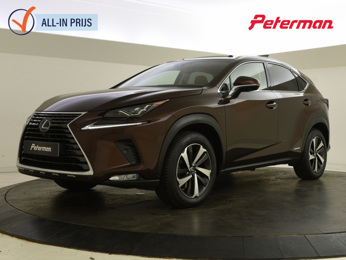 Lexus Lexus Nx300h 300h AWD President Line | Mark Levinson | Schuif kantel dak | 2018 - voorkant
