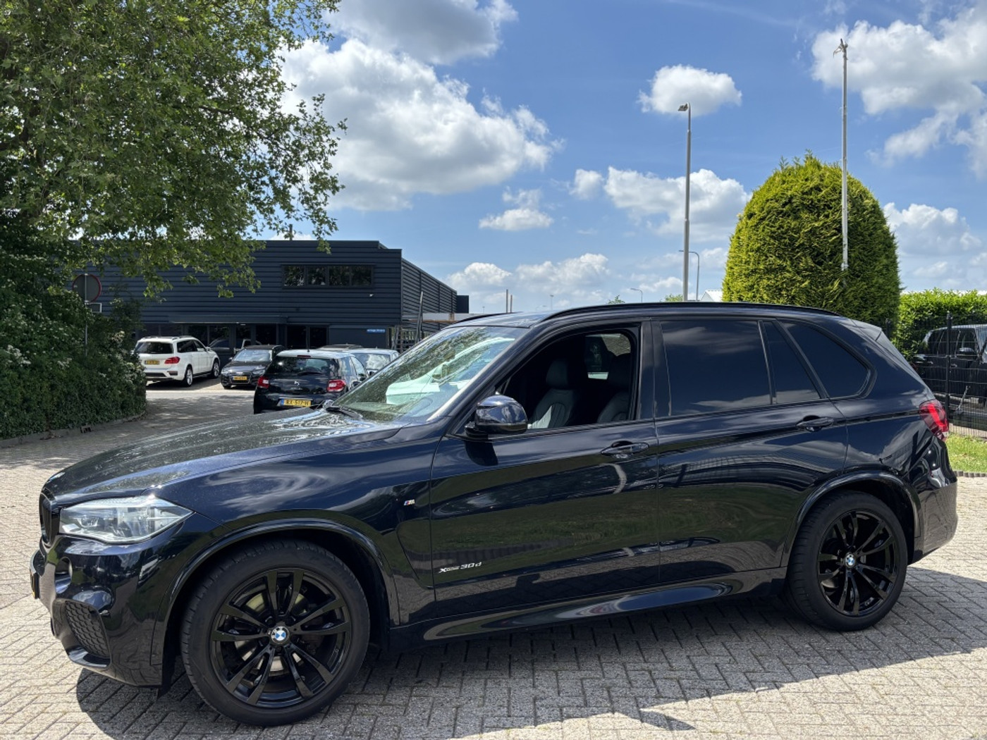 Foto van BMW X5 Xdrive30d