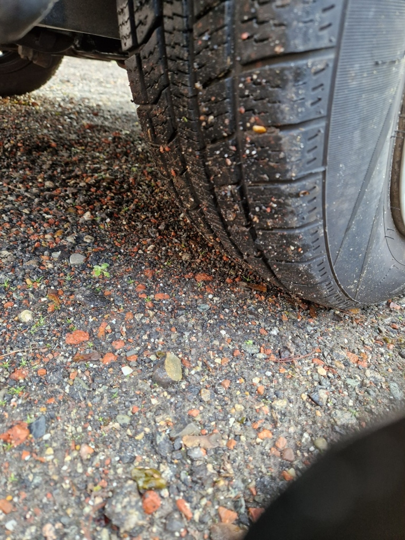 Foto van Citroen Berlingo