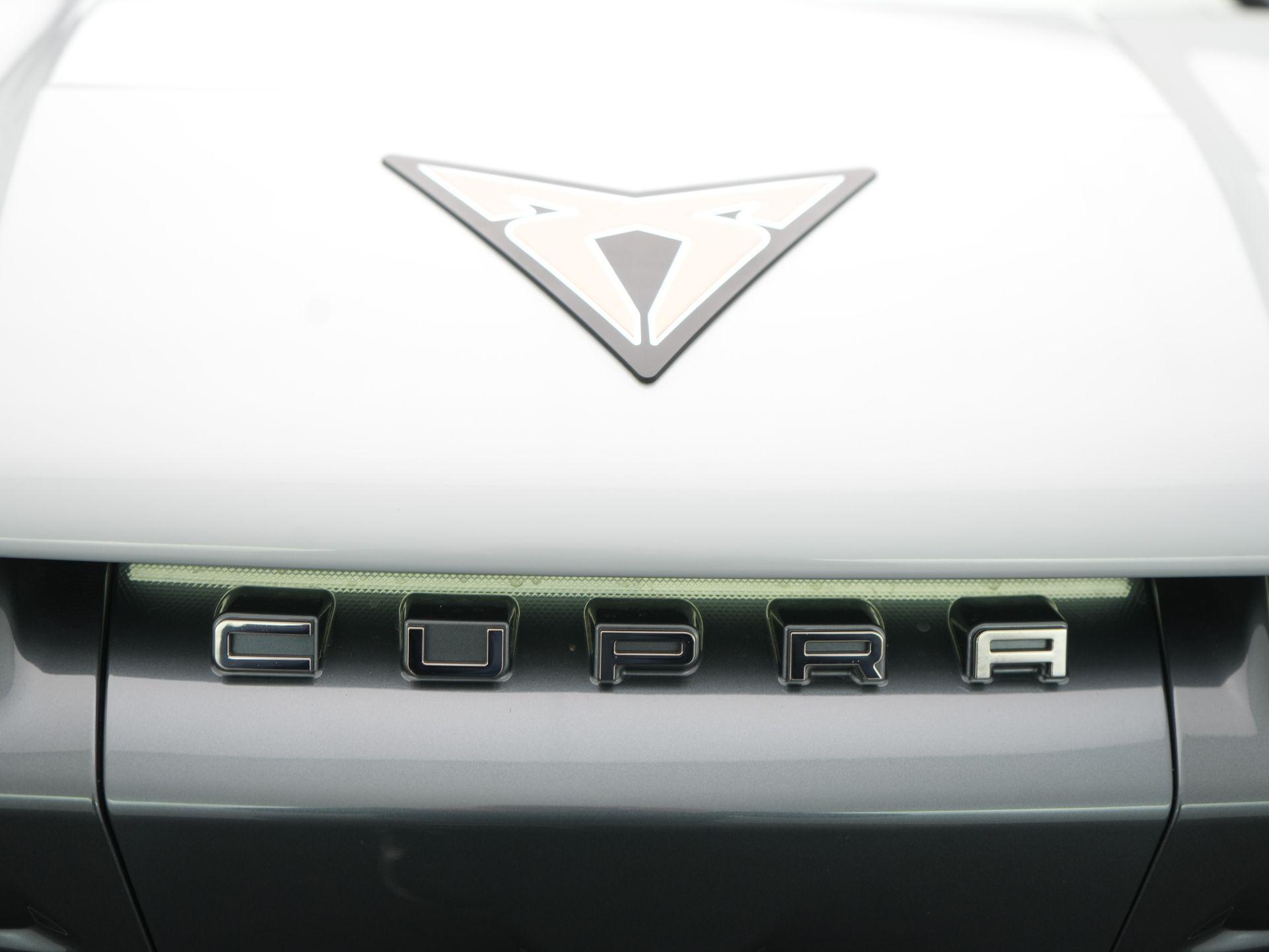 Foto van Cupra Tavascan