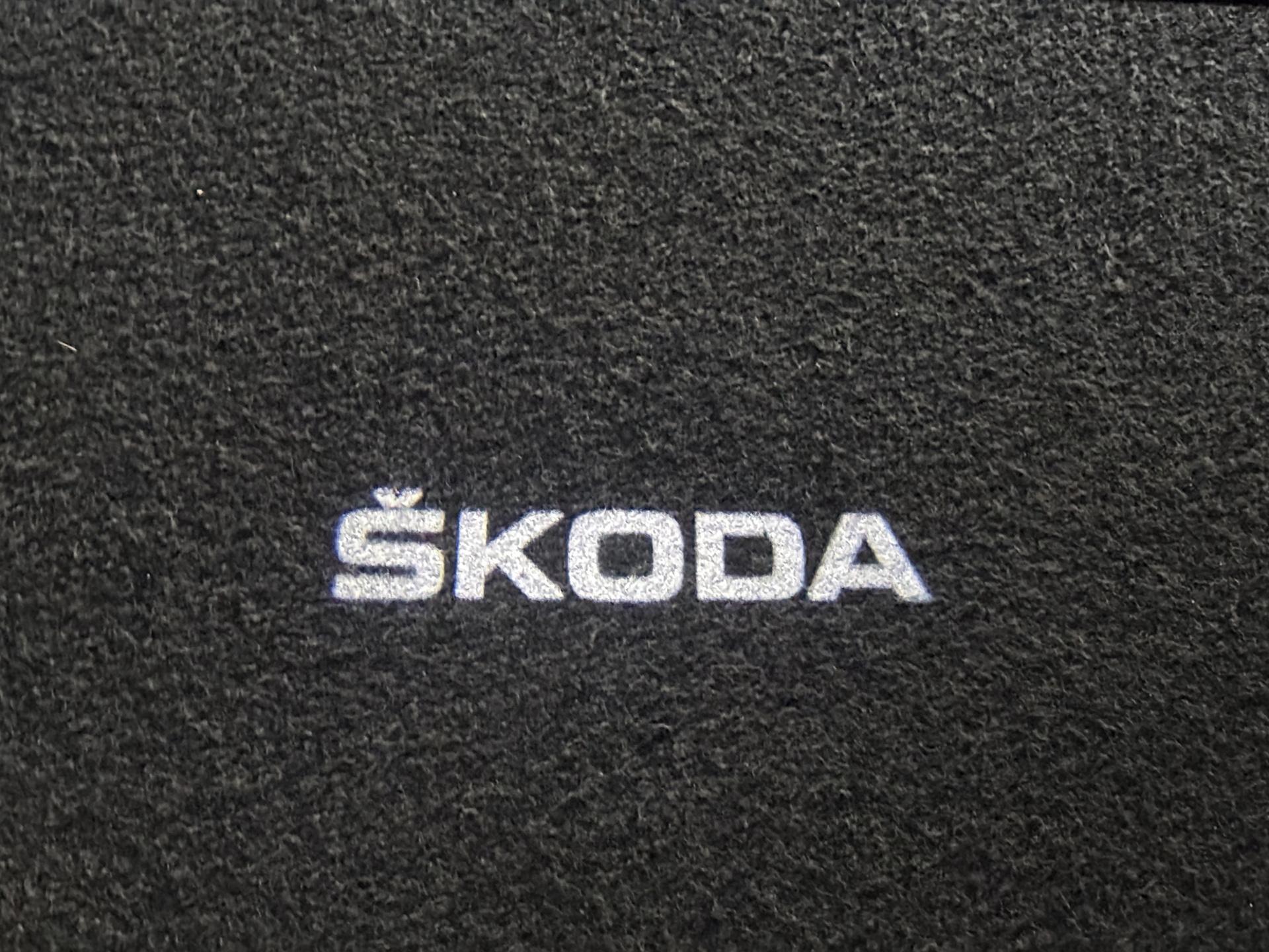 Foto van Skoda Octavia RS