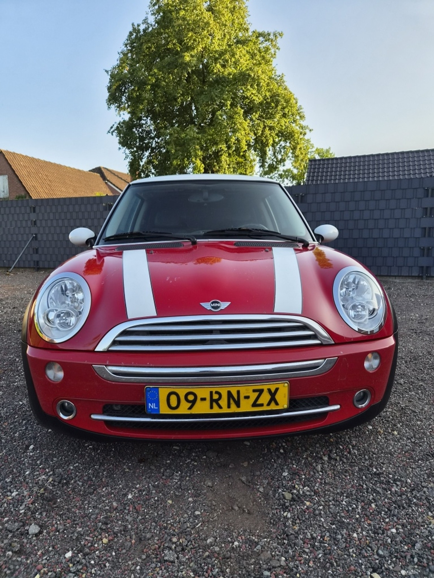 Foto van Mini Mini Cooper