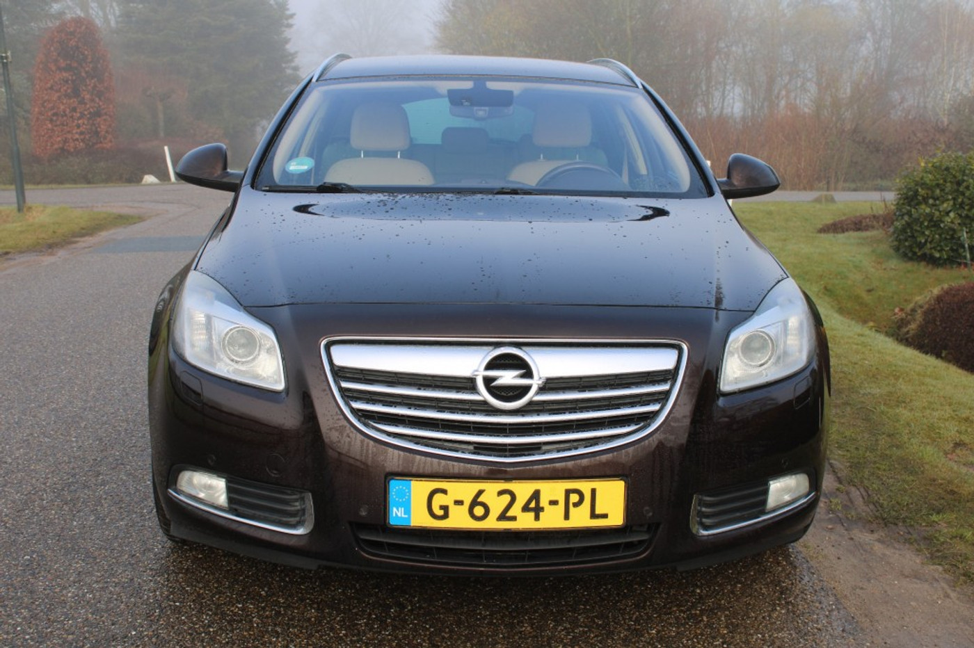 Foto van Opel Insignia
