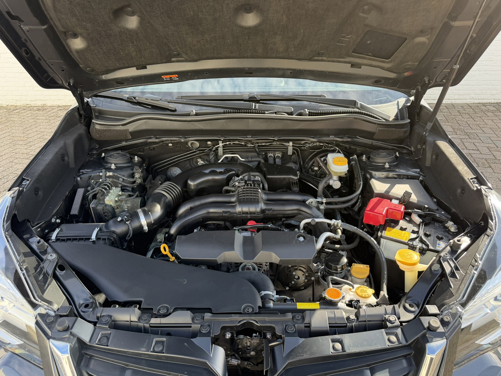 Foto van Subaru Forester
