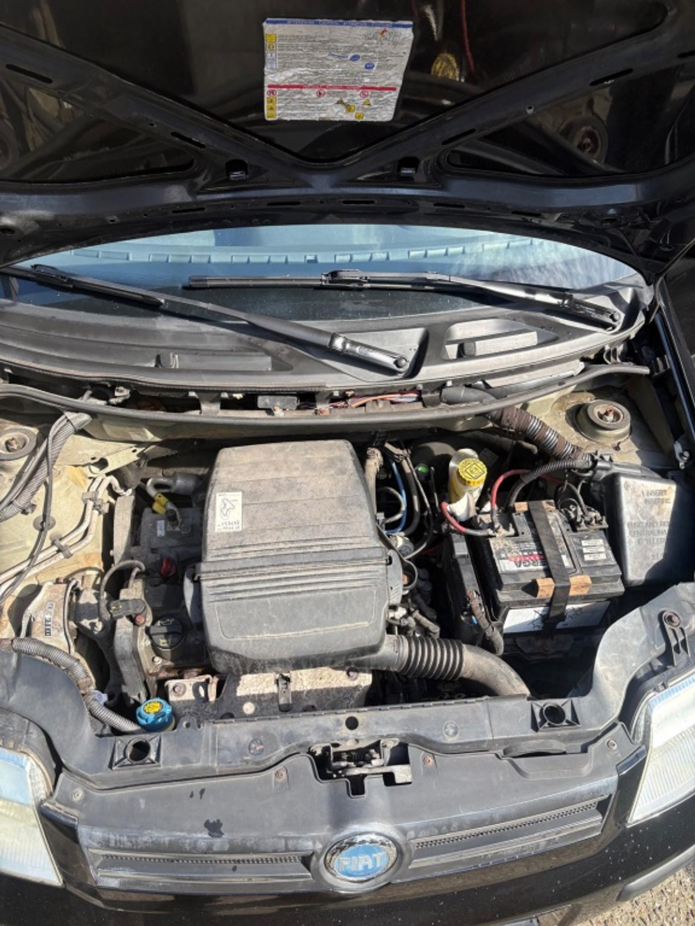 Foto van Fiat Fiat Panda
