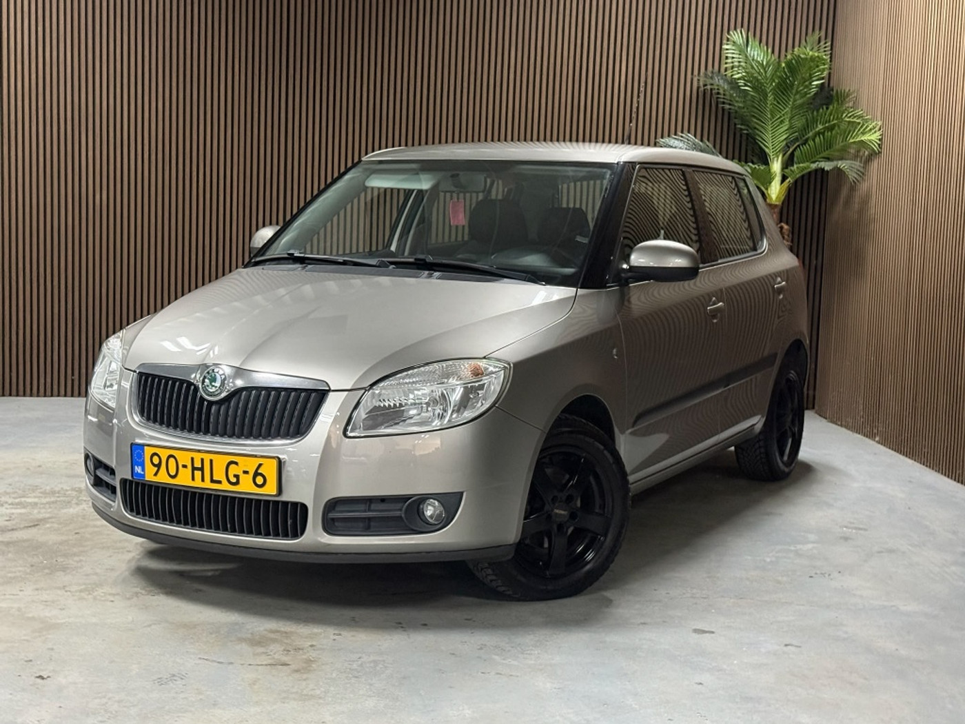 Skoda Fabia 1.4-16V Ambiente 2009 - voorkant
