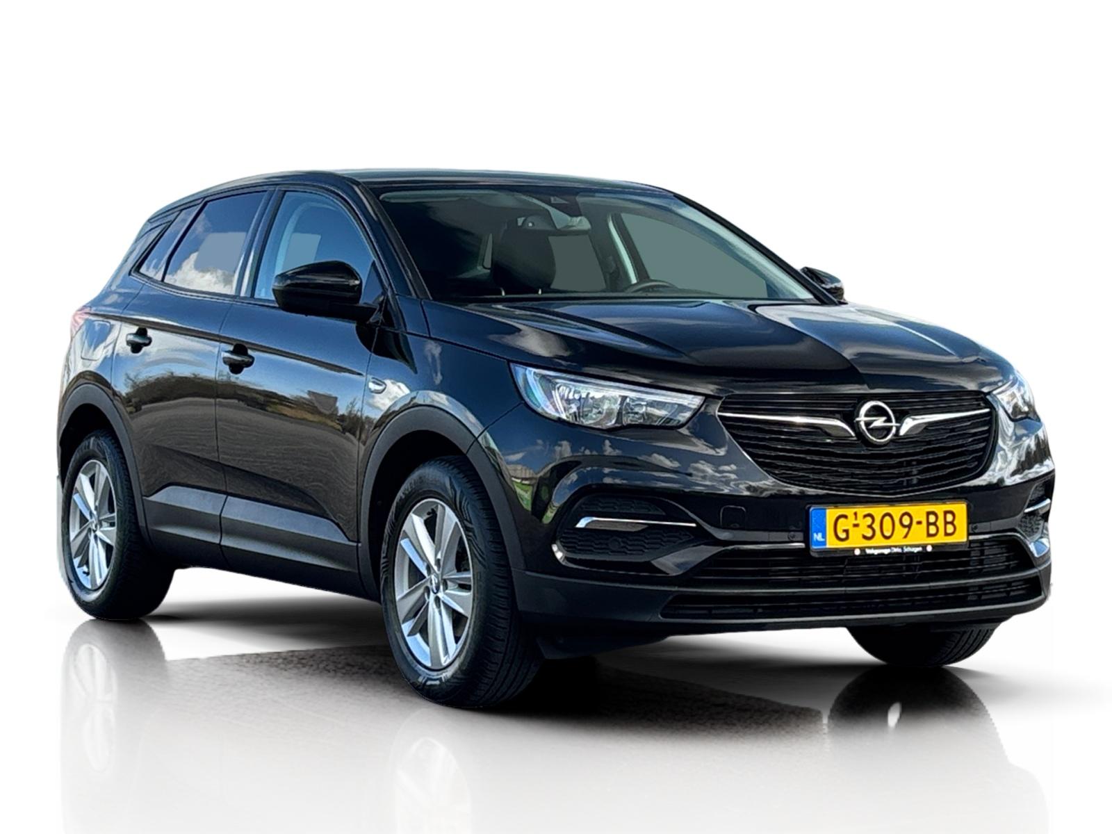 Foto van Opel Grandland X