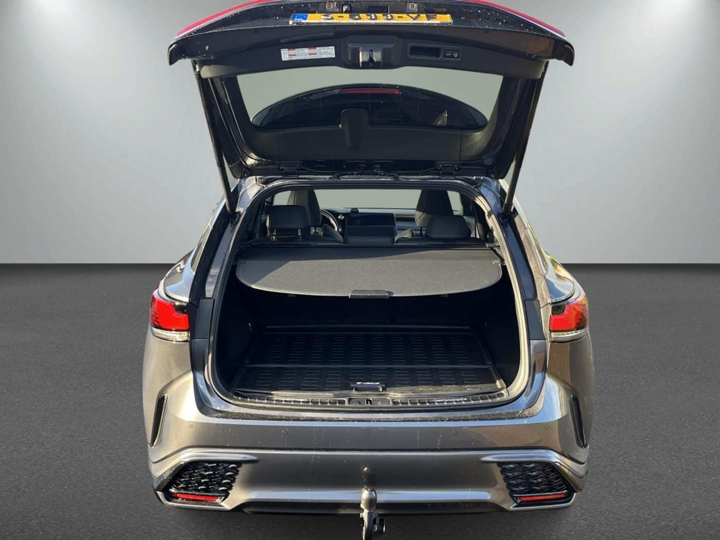 Foto van Lexus Lexus Rx500h