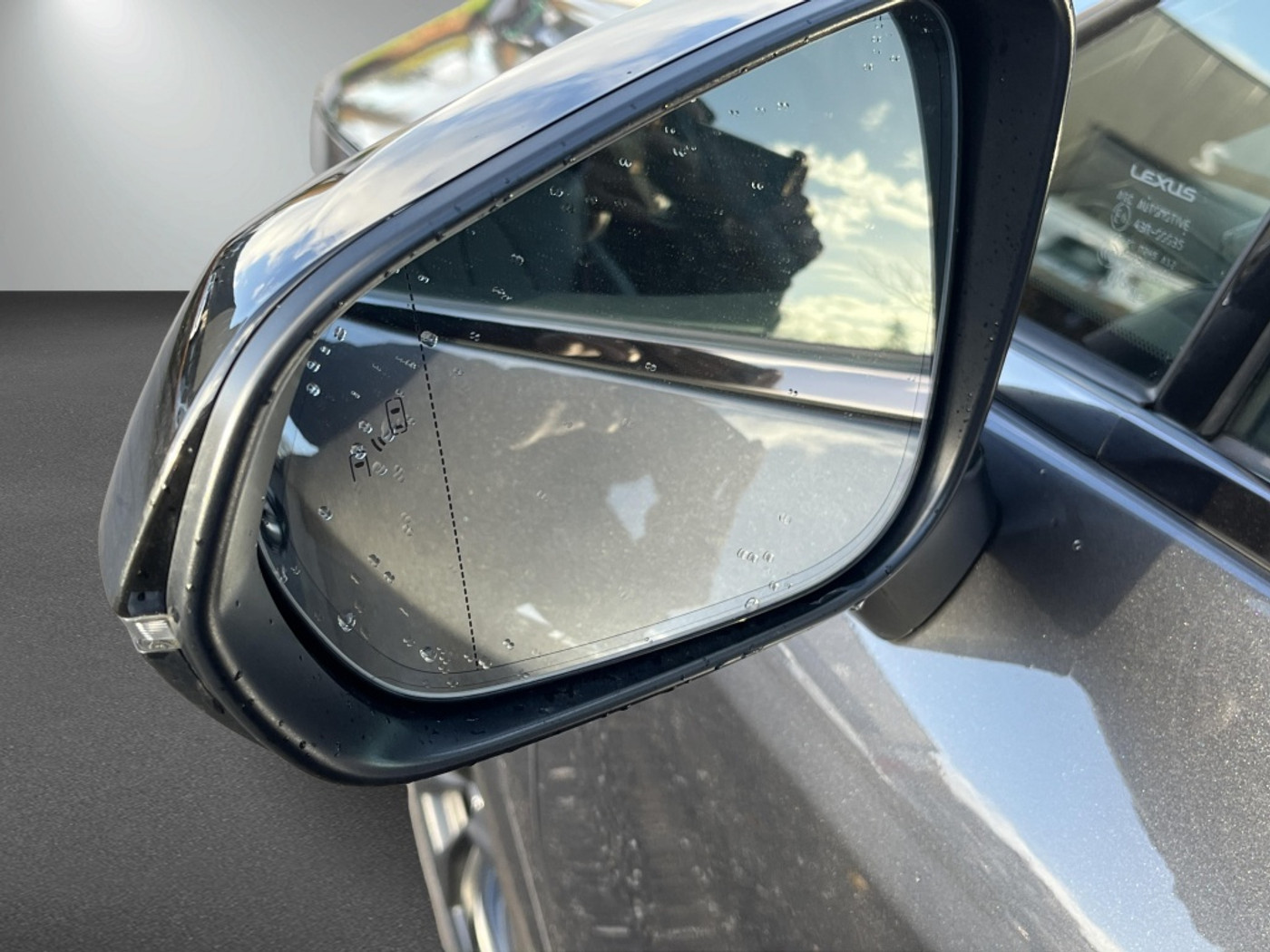 Foto van Lexus Lexus Rx500h