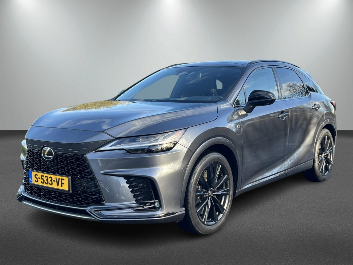 Foto van Lexus Lexus Rx500h