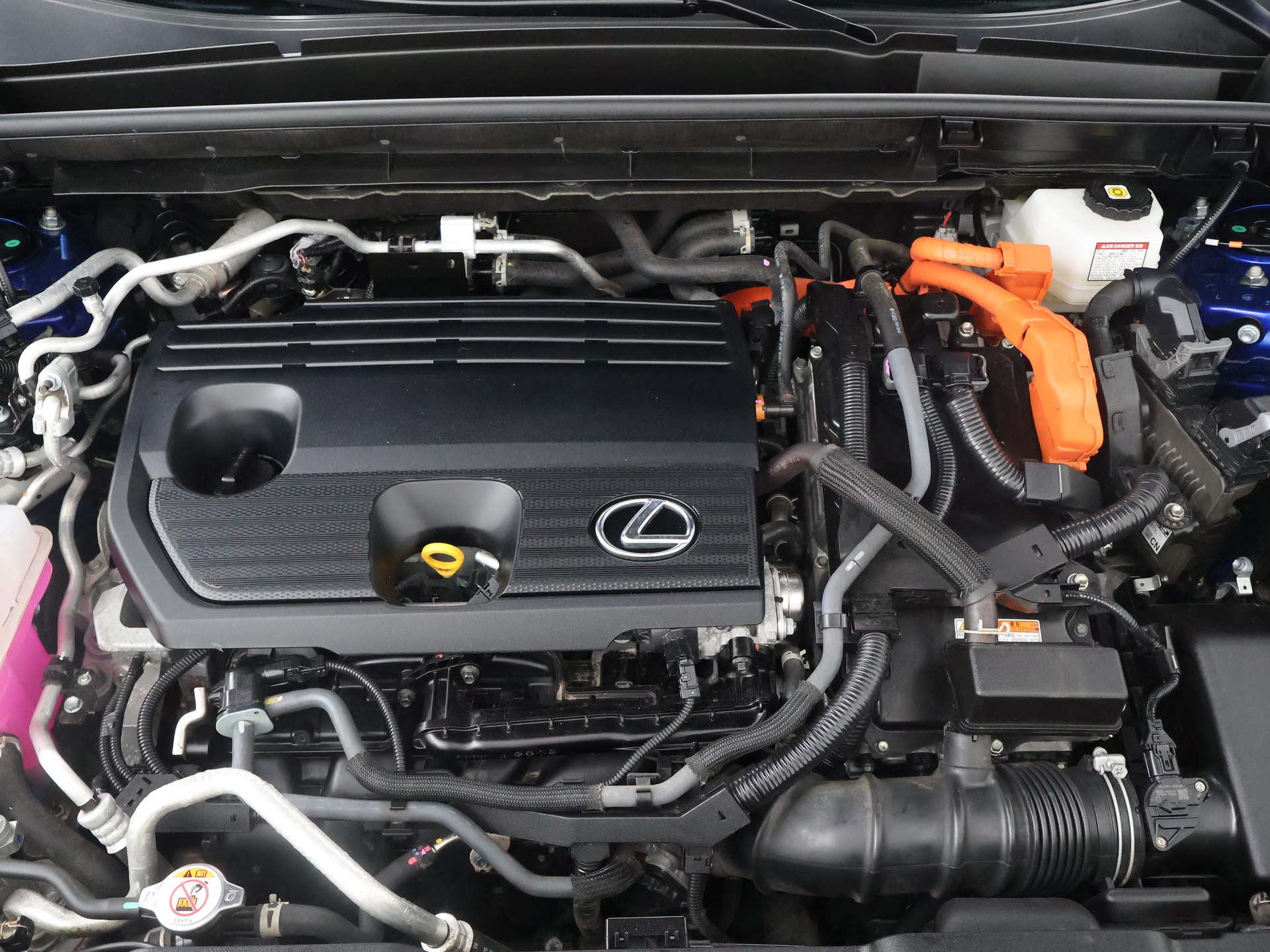 Foto van Lexus Lexus Nx450h+