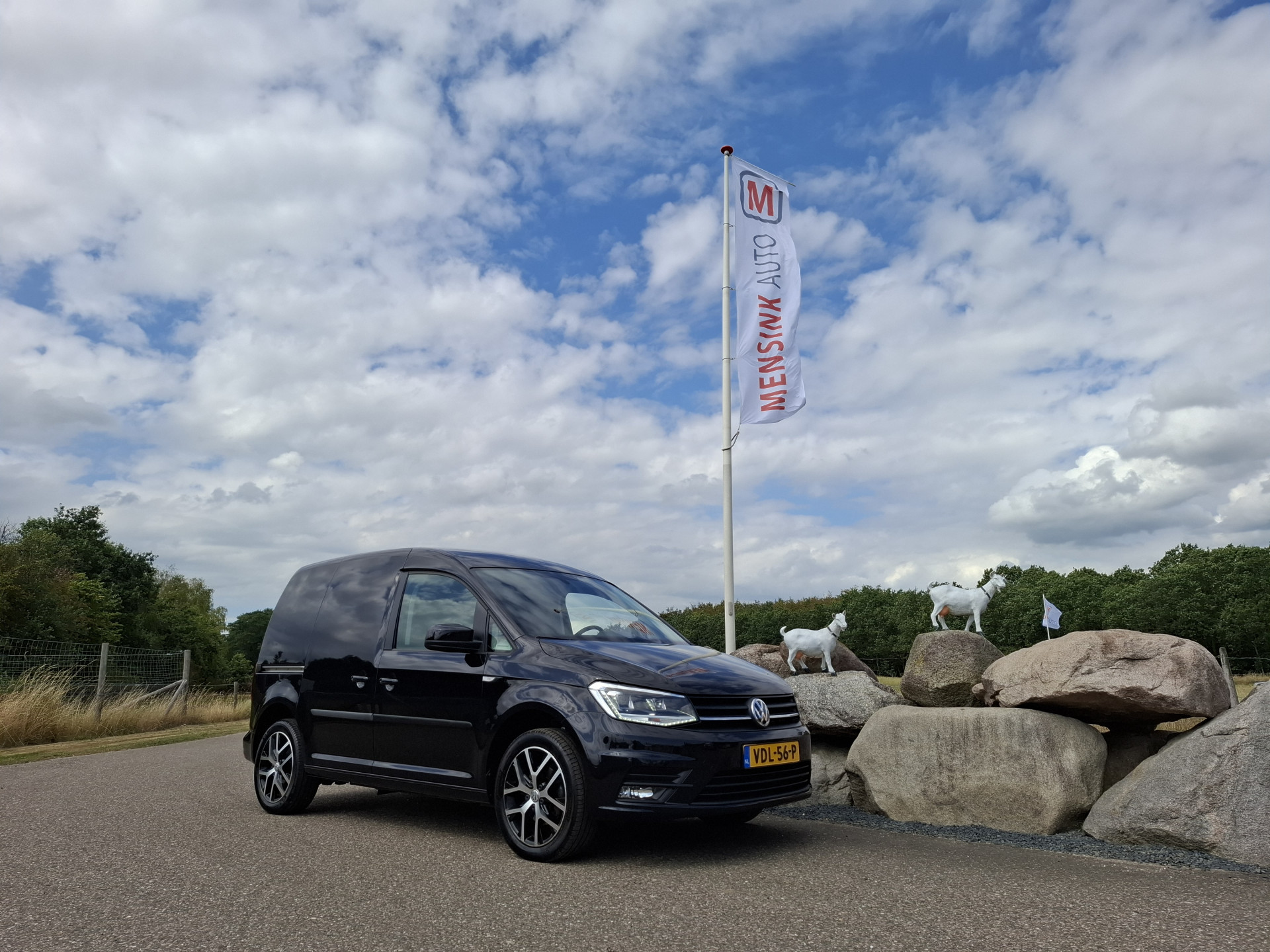 Foto van Volkswagen Caddy Modified Partition Wall