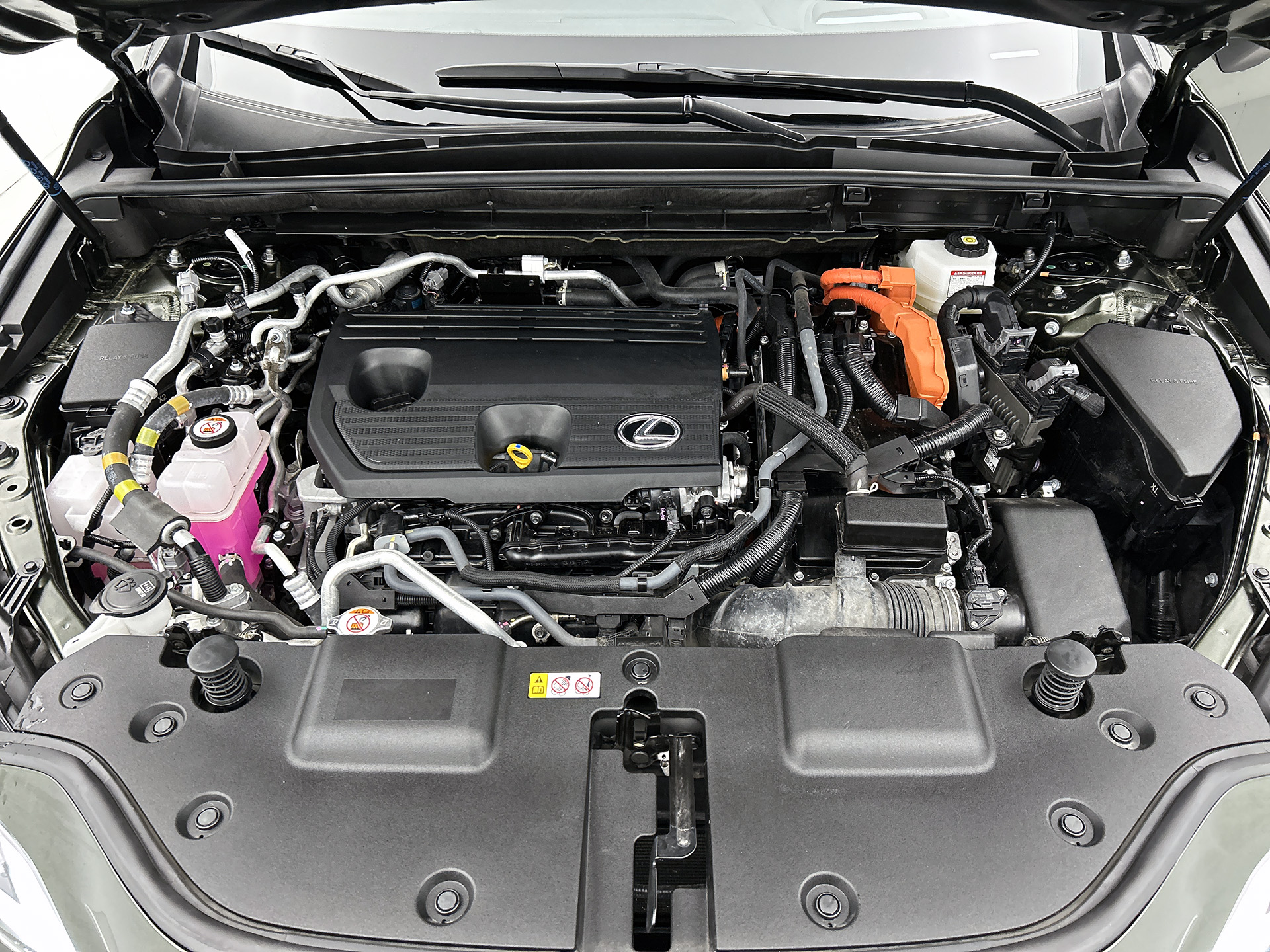Foto van Lexus Lexus Nx450h+