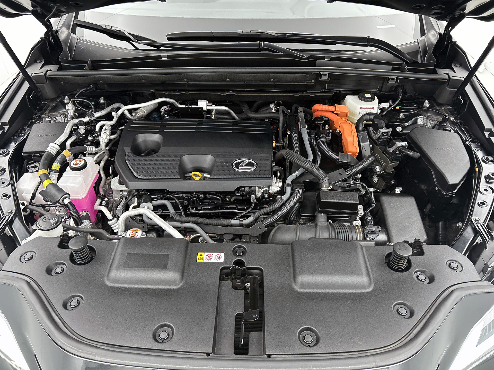 Foto van Lexus NX