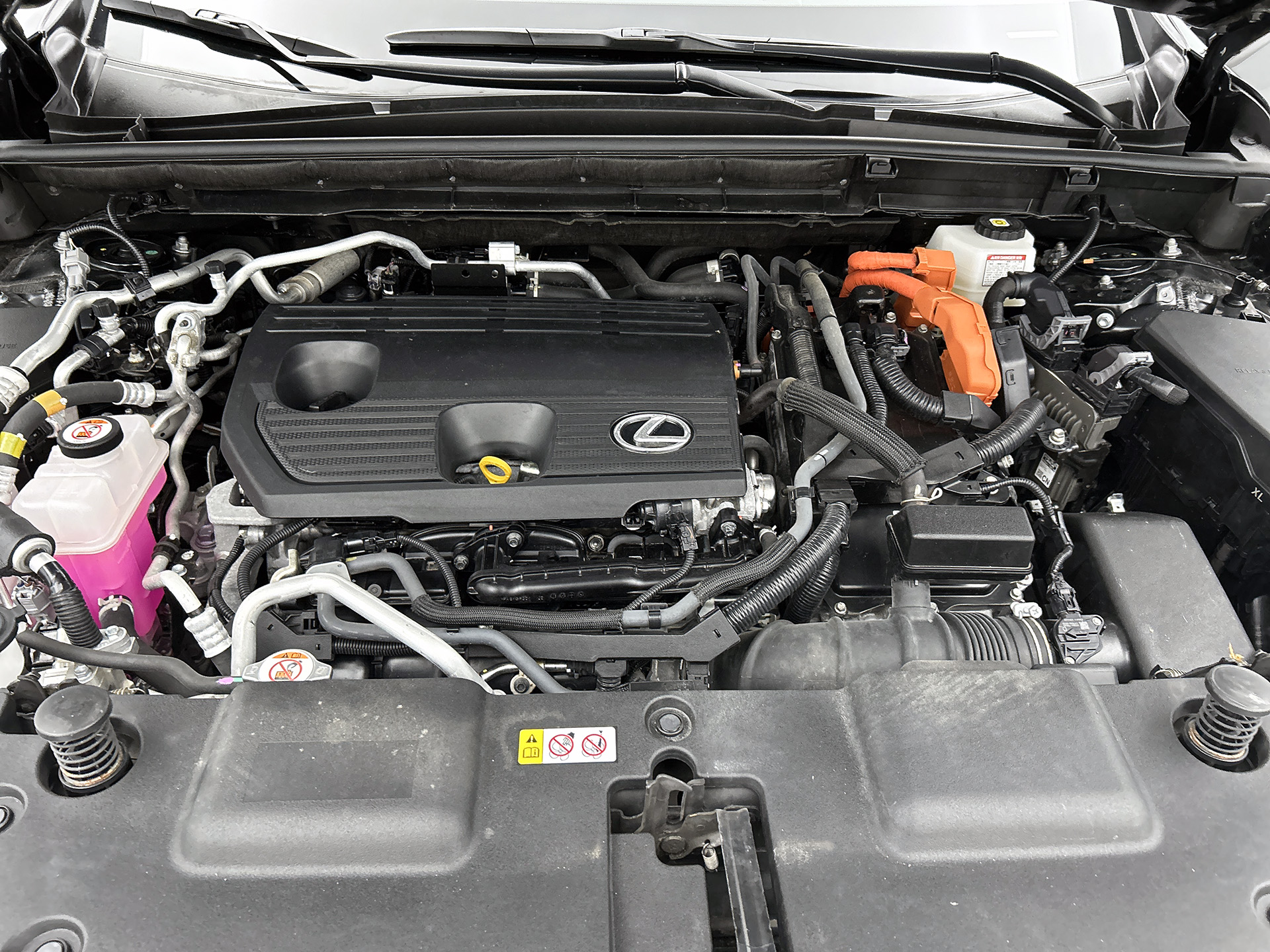 Foto van Lexus NX