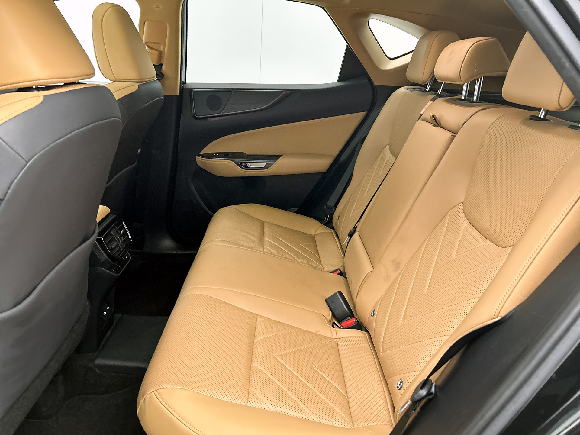 Foto van Lexus NX
