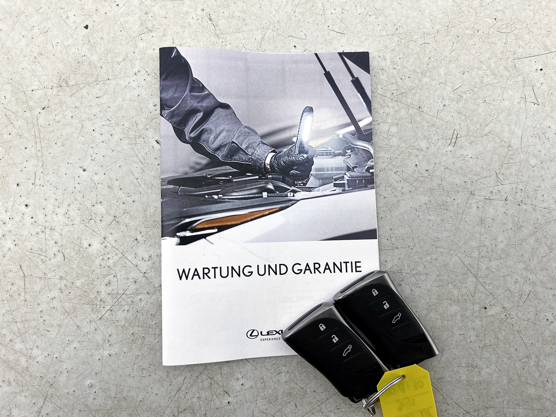 Foto van Lexus Lexus Nx450h+