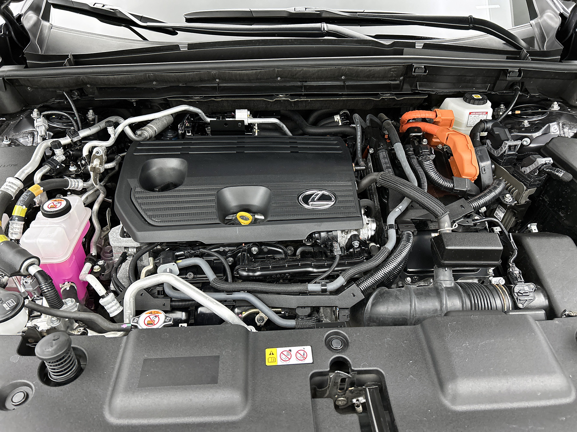 Foto van Lexus Lexus Nx450h+