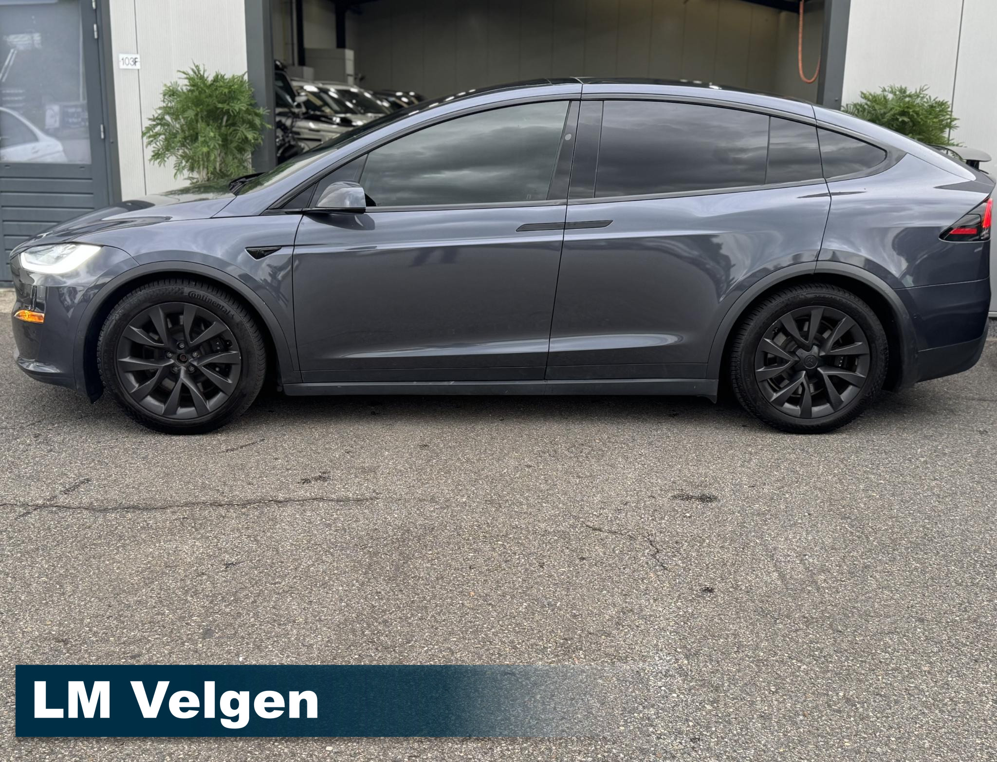 Foto van Tesla Model X