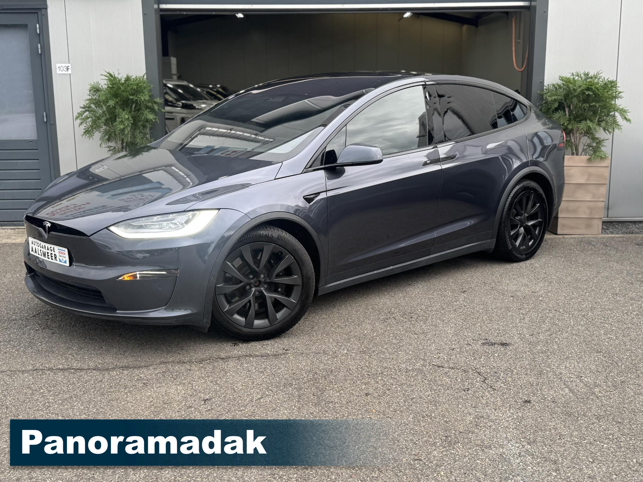 Foto van Tesla Model X