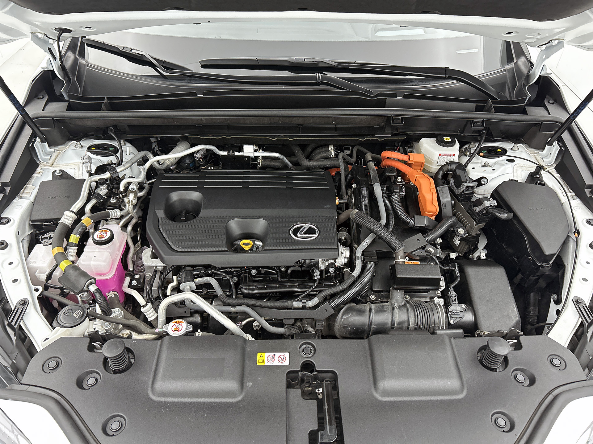 Foto van Lexus Lexus Nx450h+