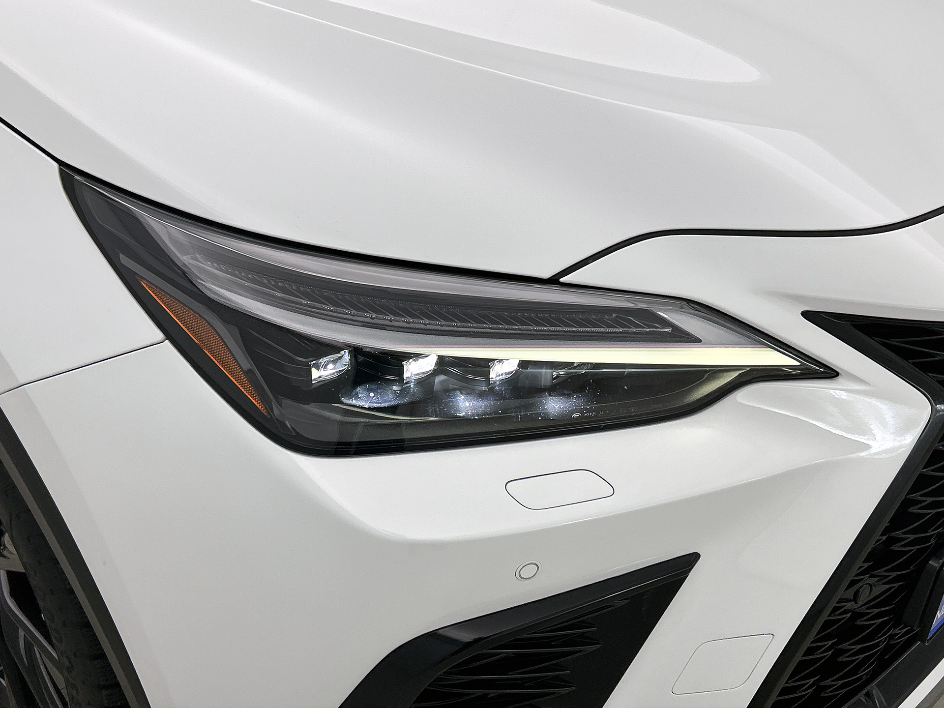 Foto van Lexus Lexus Nx450h+