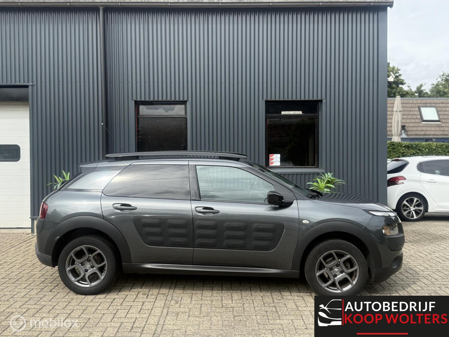 Foto van Citroen C4 Cactus