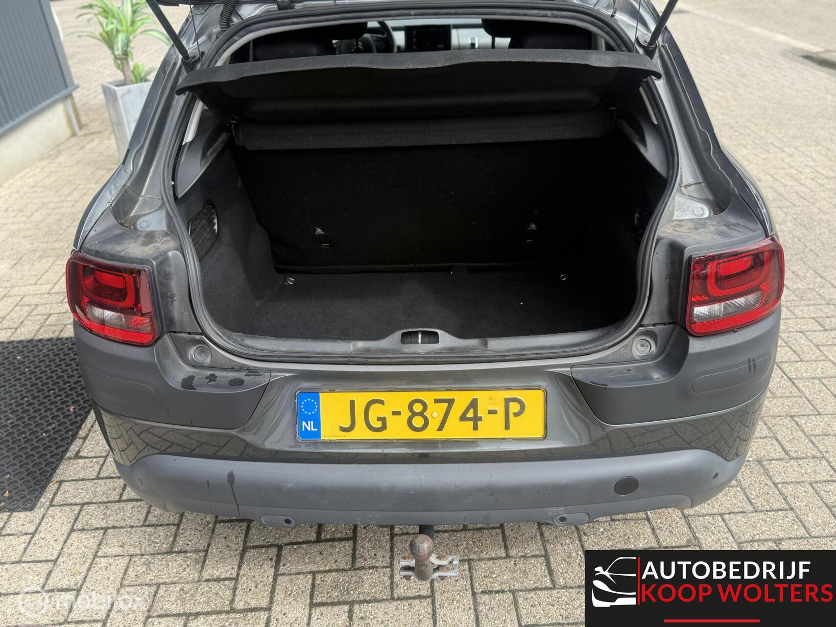 Foto van Citroen C4 Cactus