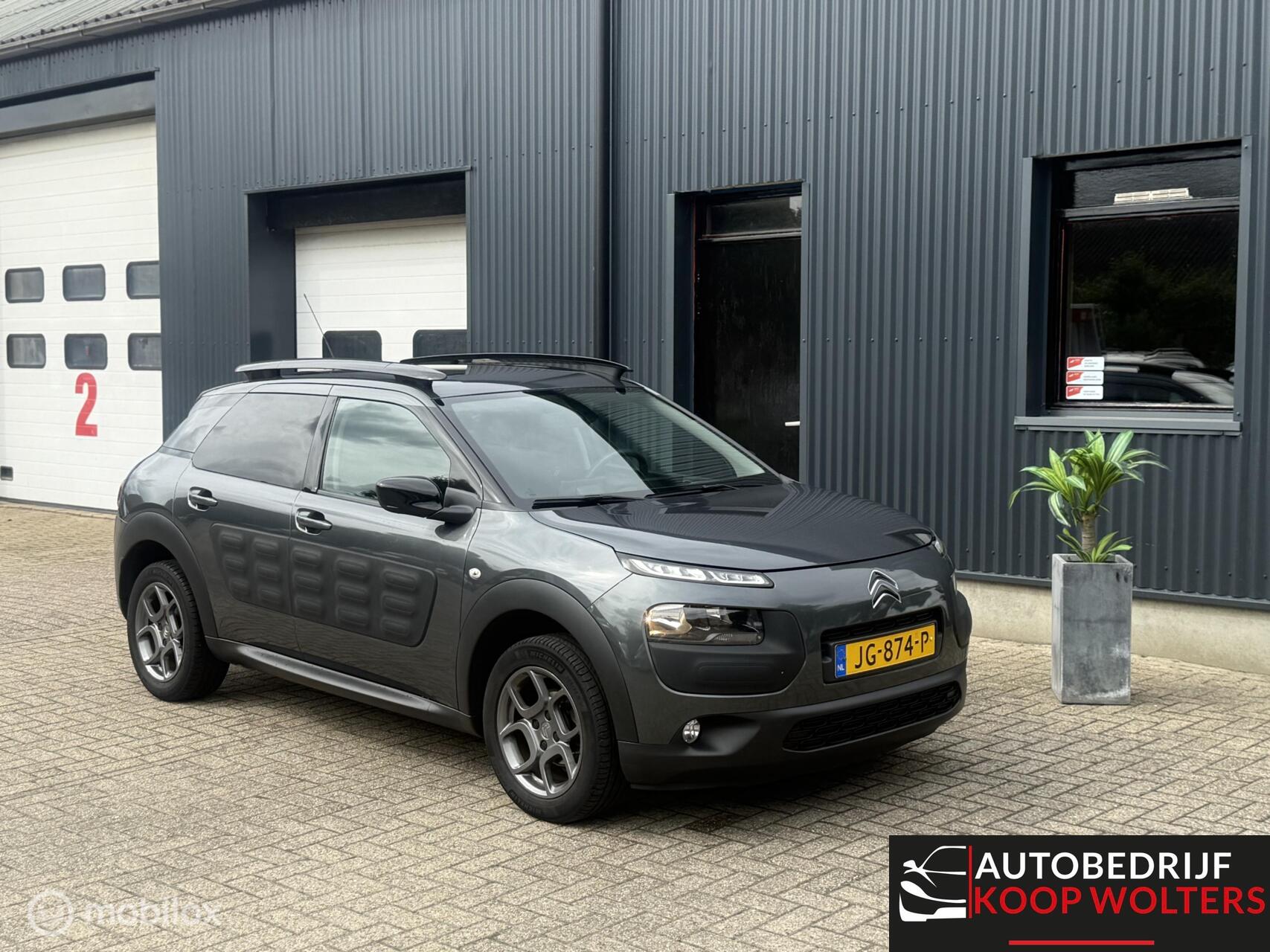 Foto van Citroen C4 Cactus