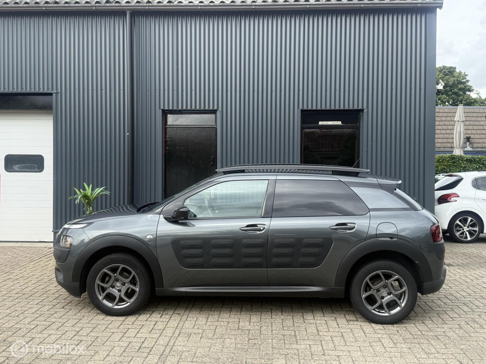 Foto van Citroen C4 Cactus