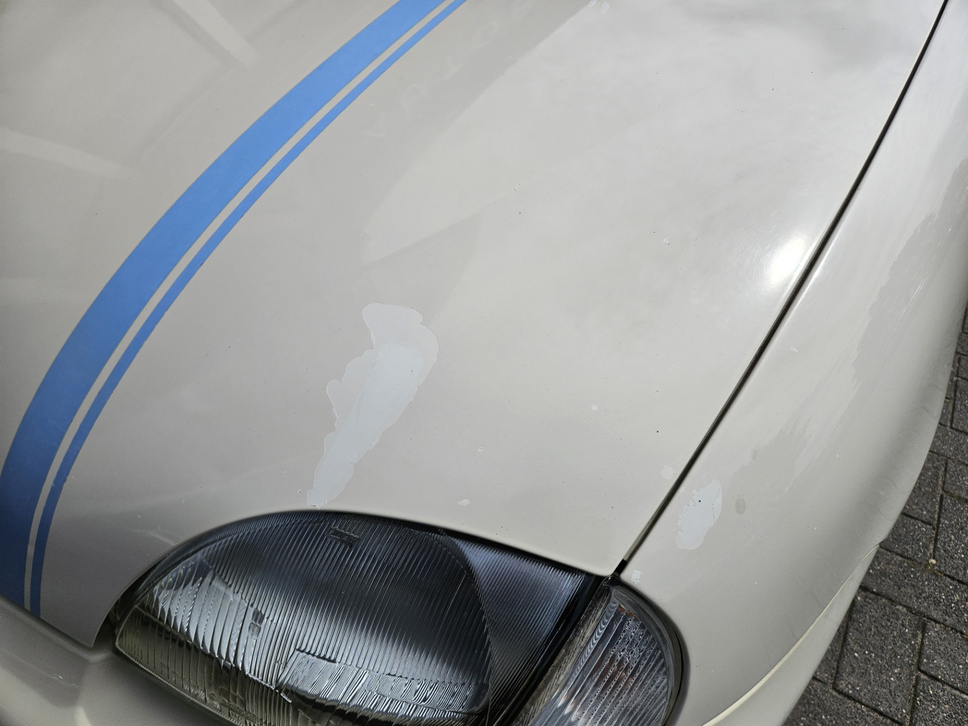 Foto van Fiat Fiat Seicento