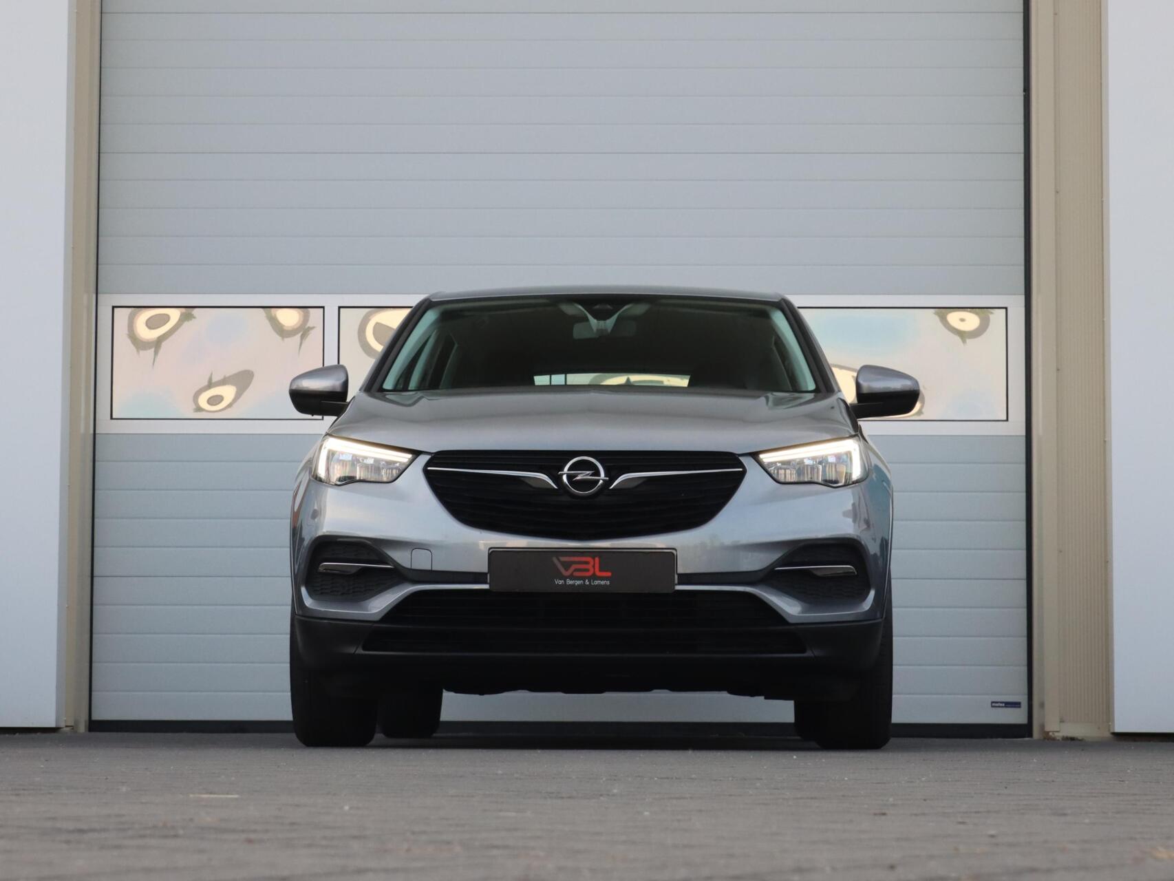 Foto van Opel Grandland X