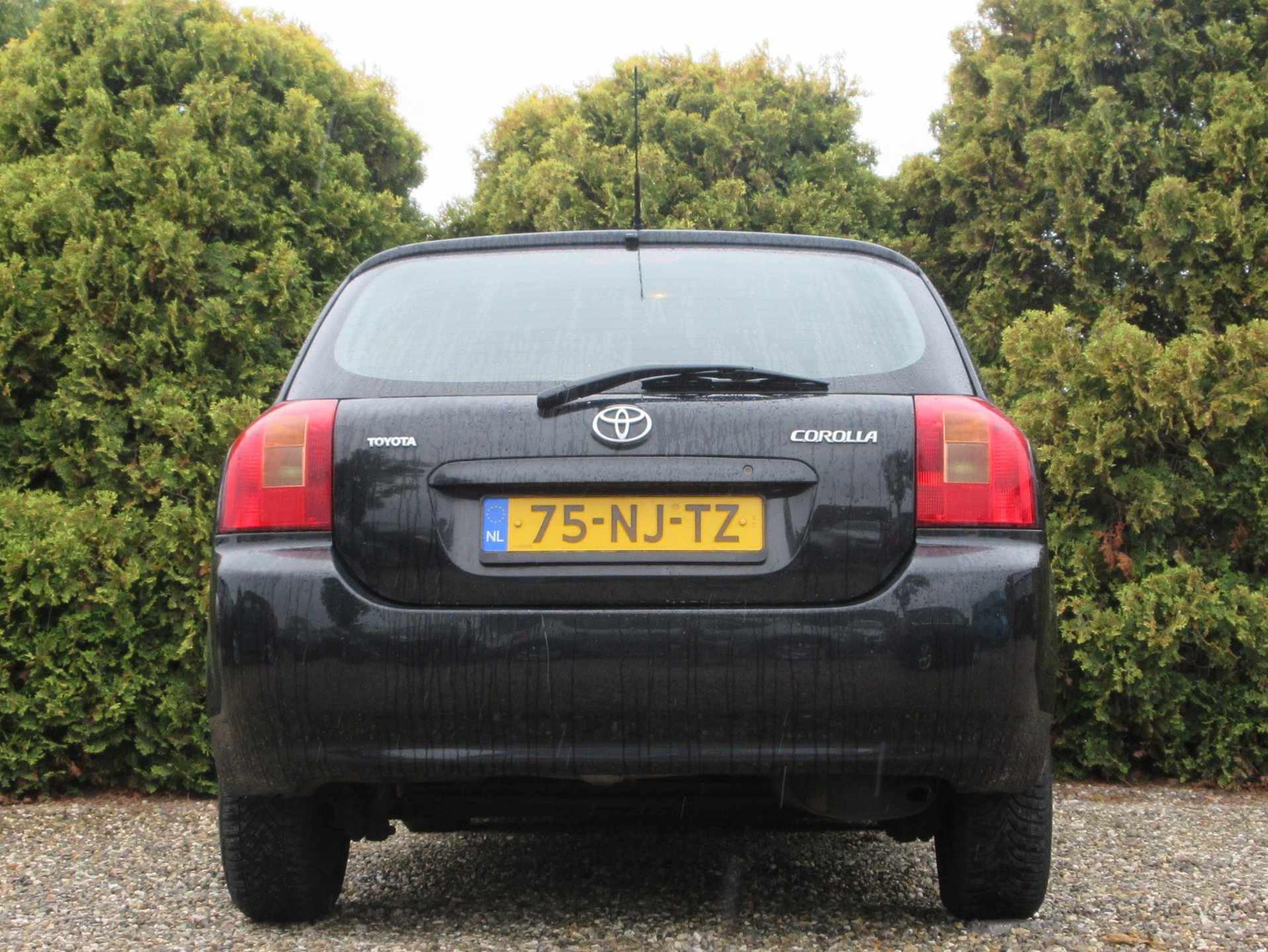 Foto van Toyota Toyota Corolla