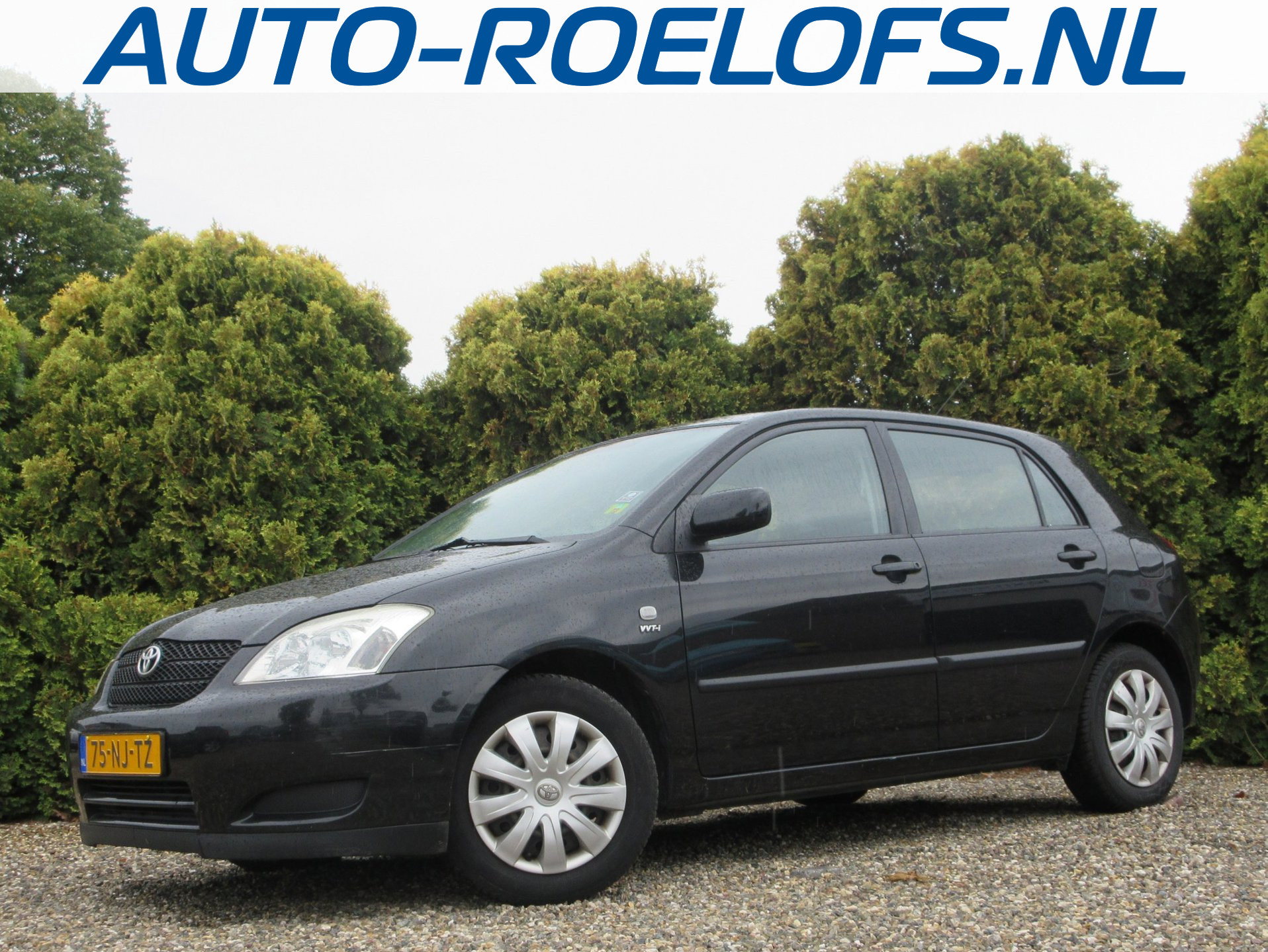 Toyota Toyota Corolla 1.4 VVT-i Linea Terra 2003 - voorkant