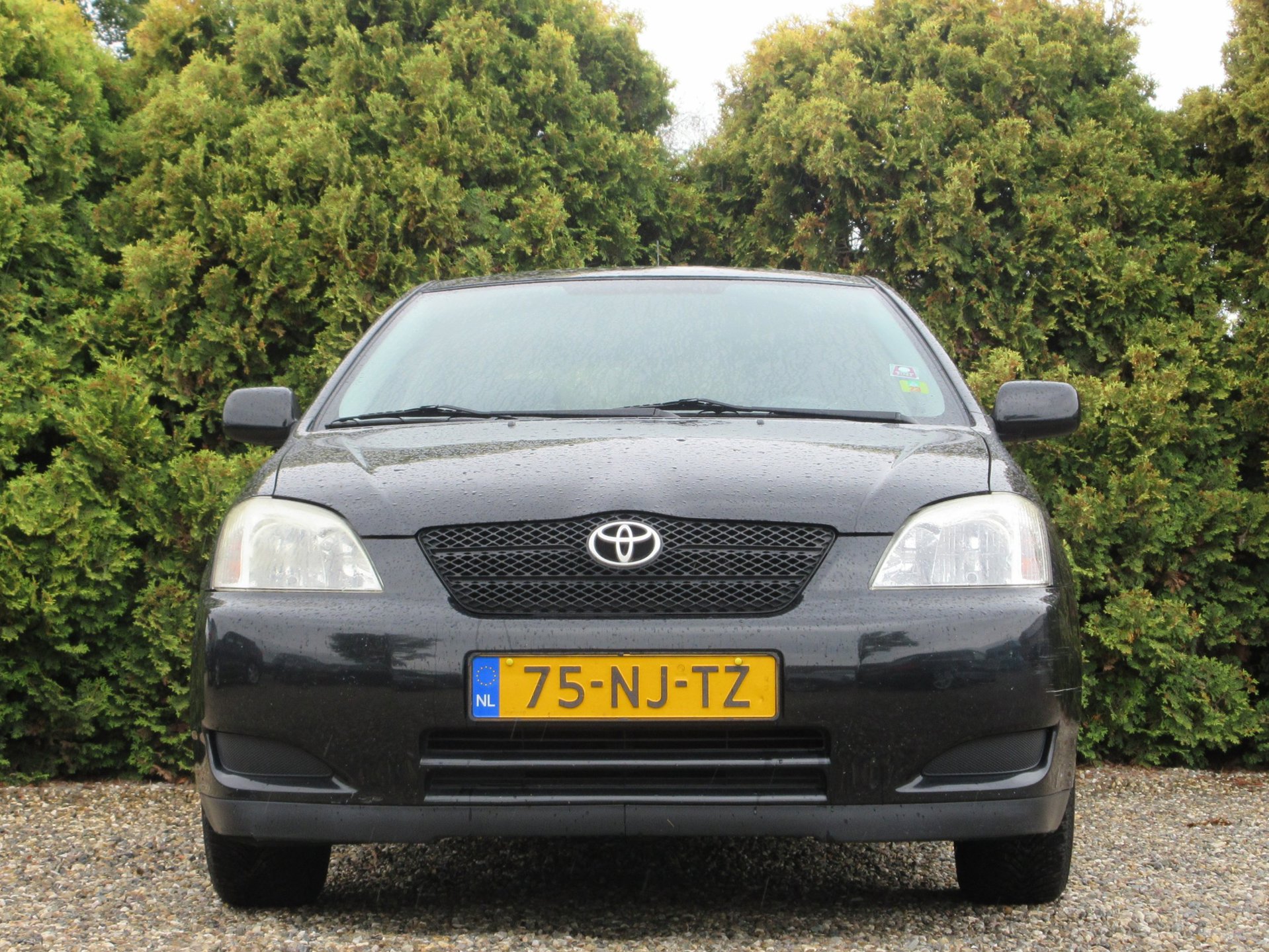 Foto van Toyota Toyota Corolla