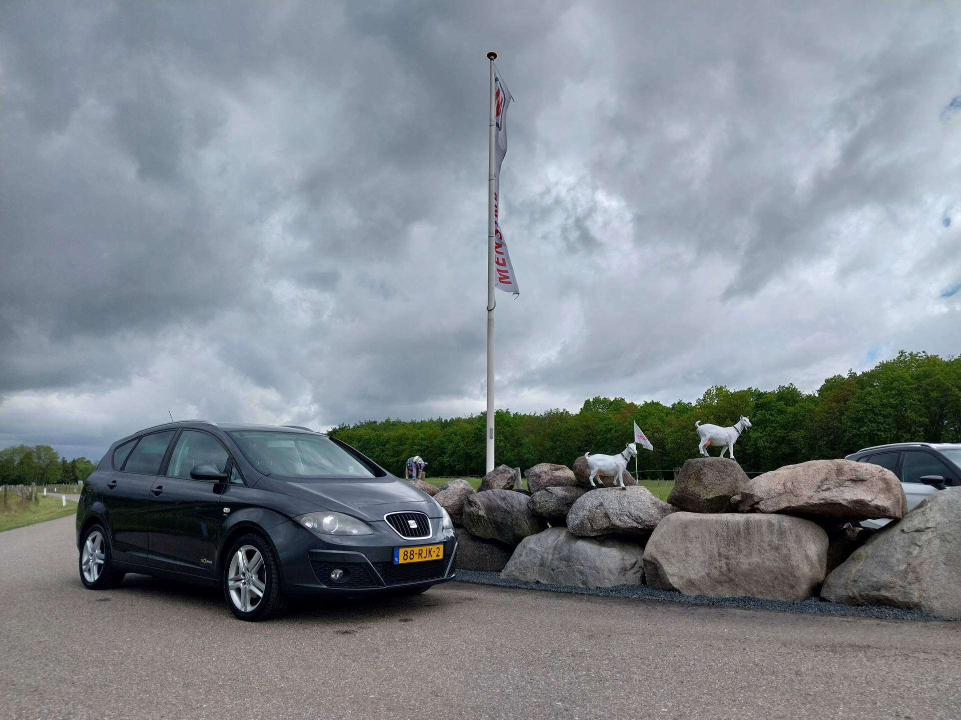Foto van Seat Altea XL