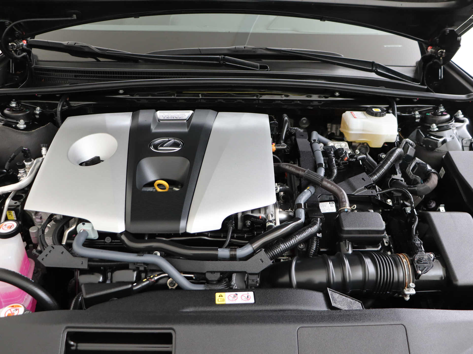 Foto van Lexus Lexus Es300h