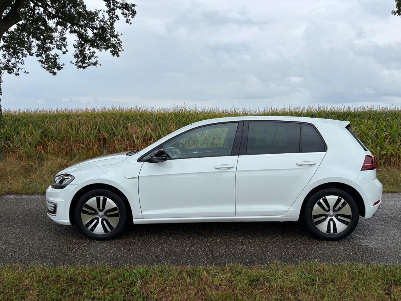 Foto van Volkswagen E-golf