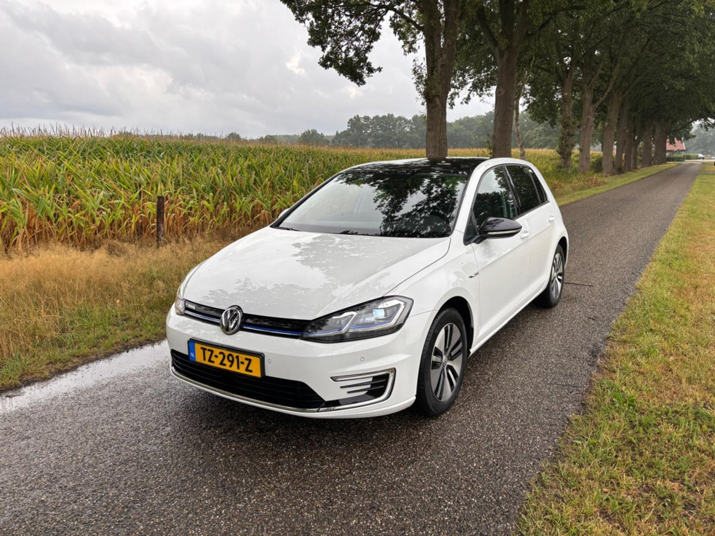 Foto van Volkswagen E-golf